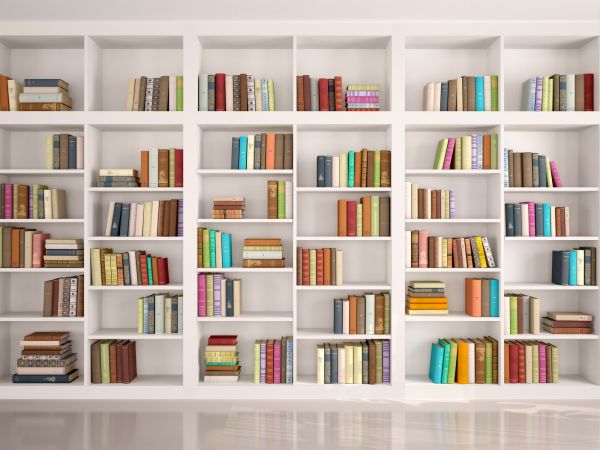 Bookshelf Assembly in Mchenry